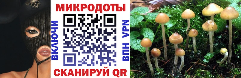 ссылка на мегу ССЫЛКА  Балтийск  Галлюциногенные грибы Psilocybe 