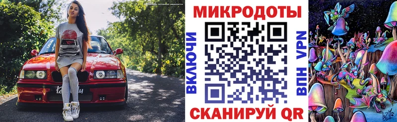 Псилоцибиновые грибы мухоморы Балтийск