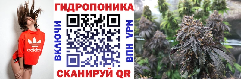 Шишки марихуана ГИДРОПОН  darknet формула  Балтийск  mega зеркало 